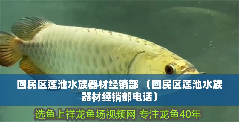 回民區(qū)蓮池水族器材經銷部 （回民區(qū)蓮池水族器材經銷部電話）