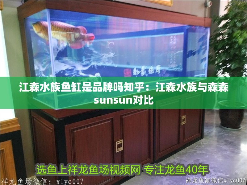 江森水族魚缸是品牌嗎知乎：江森水族與森森sunsun對(duì)比