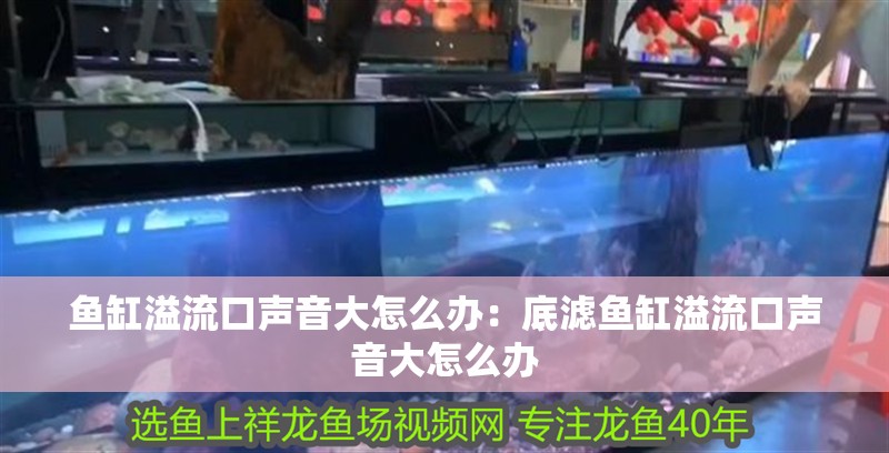 魚缸溢流口聲音大怎么辦：底濾魚缸溢流口聲音大怎么辦