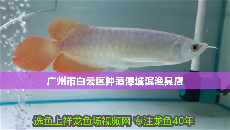 廣州市白云區鐘落潭城濱漁具店