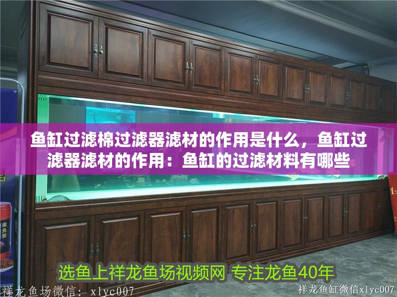 魚缸過濾棉過濾器濾材的作用是什么，魚缸過濾器濾材的作用：魚缸的過濾材料有哪些