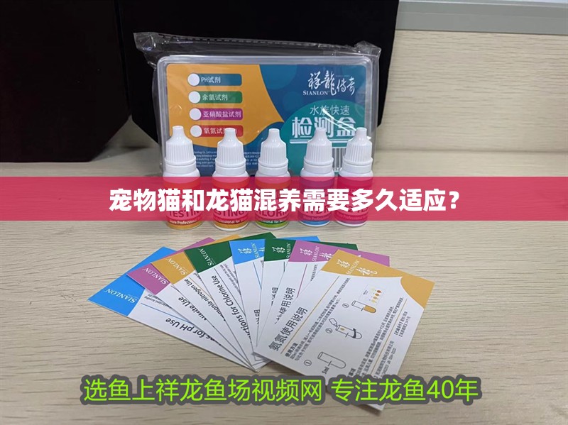 寵物貓和龍貓混養(yǎng)需要多久適應(yīng)？