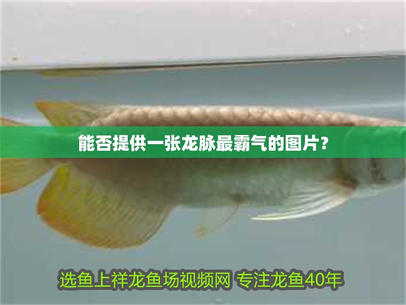 能否提供一張龍脈最霸氣的圖片？ 能否提供一張龍脈最霸氣的圖片？ 龍魚論壇