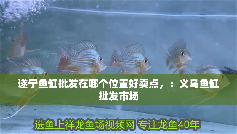遂寧魚缸批發在哪個位置好賣點，：義烏魚缸批發市場