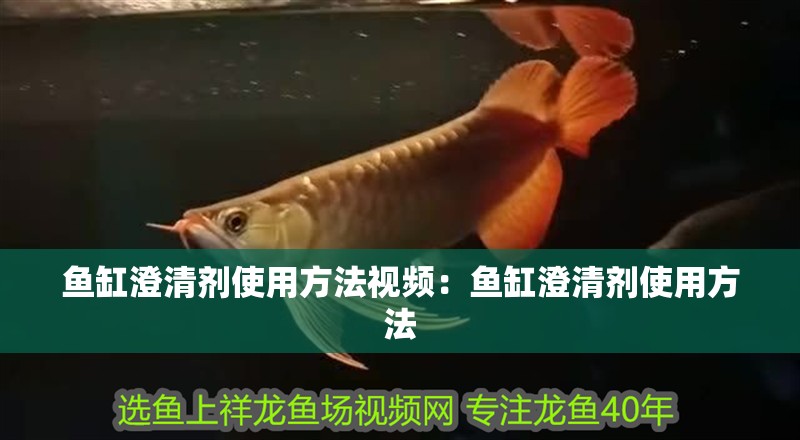 魚缸澄清劑使用方法視頻：魚缸澄清劑使用方法