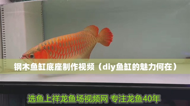 鋼木魚缸底座制作視頻（diy魚缸的魅力何在）