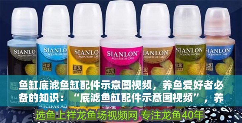 魚缸底濾魚缸配件示意圖視頻，養魚愛好者必備的知識：“底濾魚缸配件示意圖視頻”，養魚愛好者必備的知識