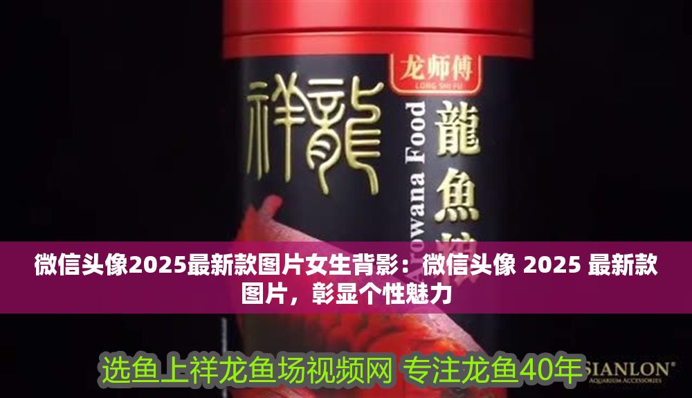 微信頭像2025最新款圖片女生背影：微信頭像 2025 最新款圖片，彰顯個性魅力