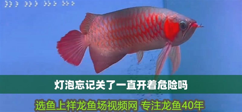 燈泡忘記關了一直開著危險嗎