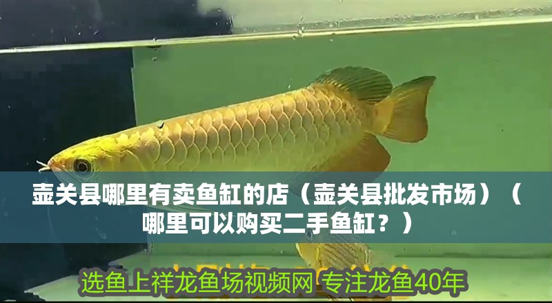 壺關縣哪里有賣魚缸的店（壺關縣批發市場）（哪里可以購買二手魚缸？）
