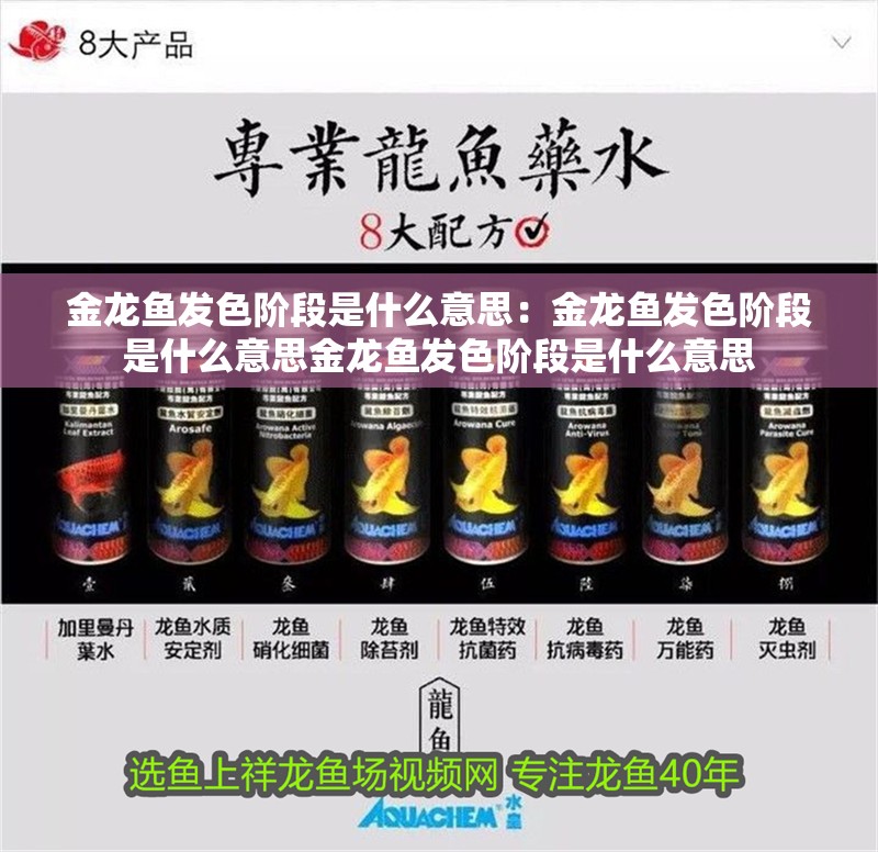 金龍魚發色階段是什么意思：金龍魚發色階段是什么意思金龍魚發色階段是什么意思