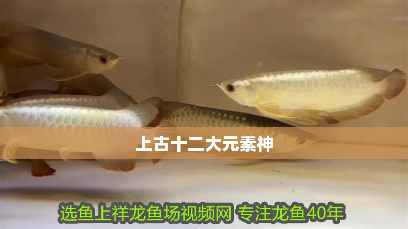 上古十二大元素神