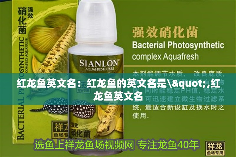 紅龍魚(yú)英文名：紅龍魚(yú)的英文名是\",紅龍魚(yú)英文名