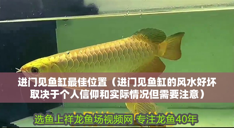 進門見魚缸最佳位置（進門見魚缸的風水好壞取決于個人信仰和實際情況但需要注意）