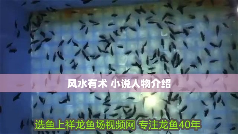 風(fēng)水有術(shù) 小說(shuō)人物介紹