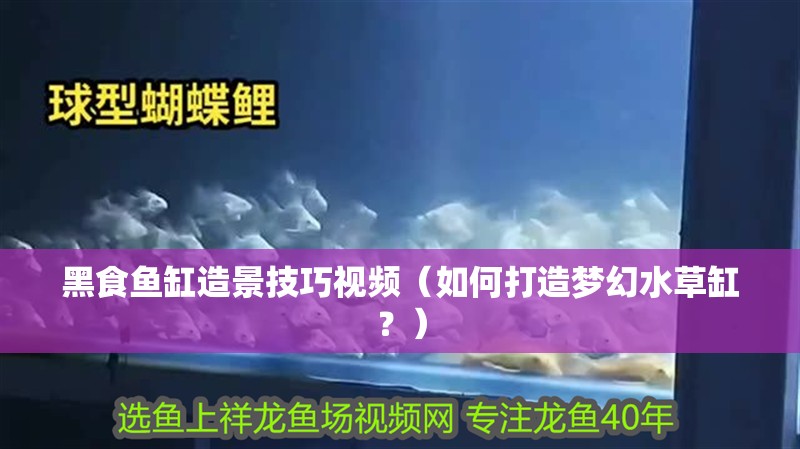 黑食魚(yú)缸造景技巧視頻（如何打造夢(mèng)幻水草缸？）