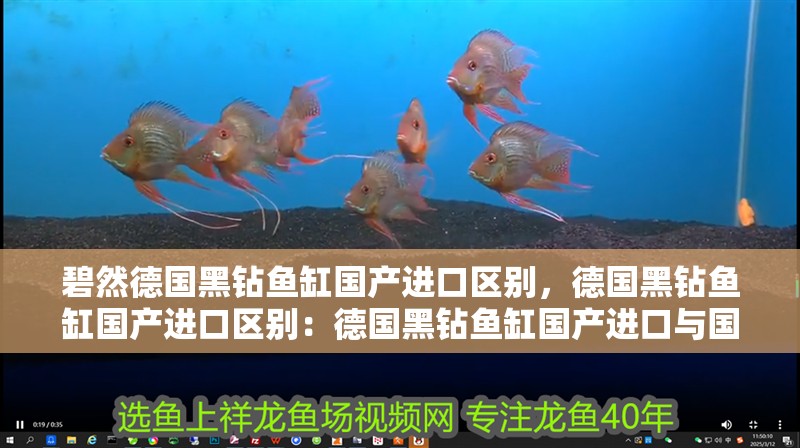 碧然德國黑鉆魚缸國產進口區別，德國黑鉆魚缸國產進口區別：德國黑鉆魚缸國產進口與國產進口區別