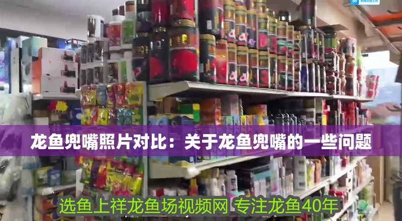 龍魚兜嘴照片對(duì)比：關(guān)于龍魚兜嘴的一些問(wèn)題