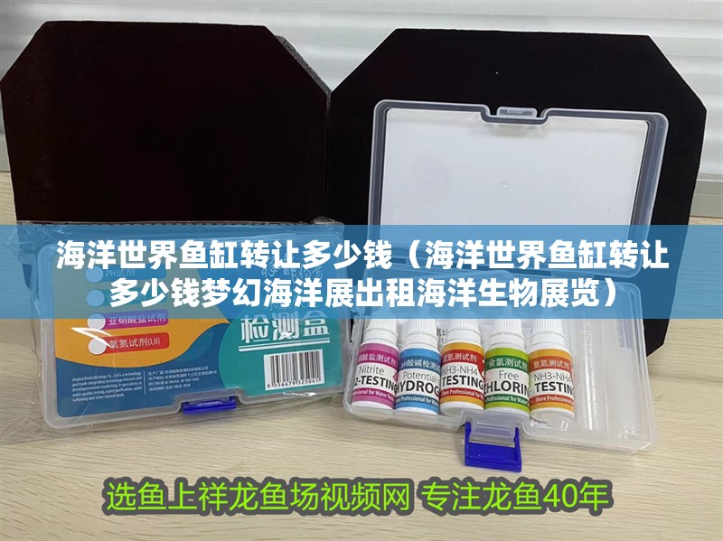 海洋世界魚缸轉(zhuǎn)讓多少錢（海洋世界魚缸轉(zhuǎn)讓多少錢夢幻海洋展出租海洋生物展覽）