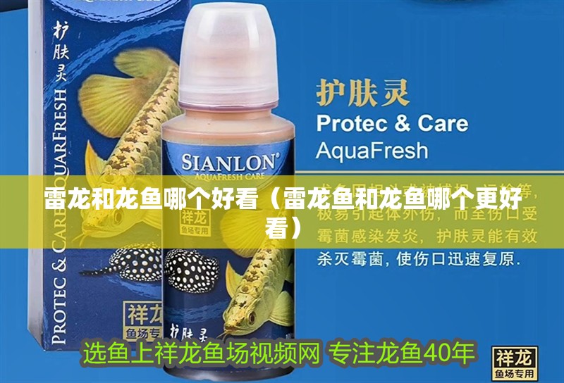 雷龍和龍魚哪個好看（雷龍魚和龍魚哪個更好看）