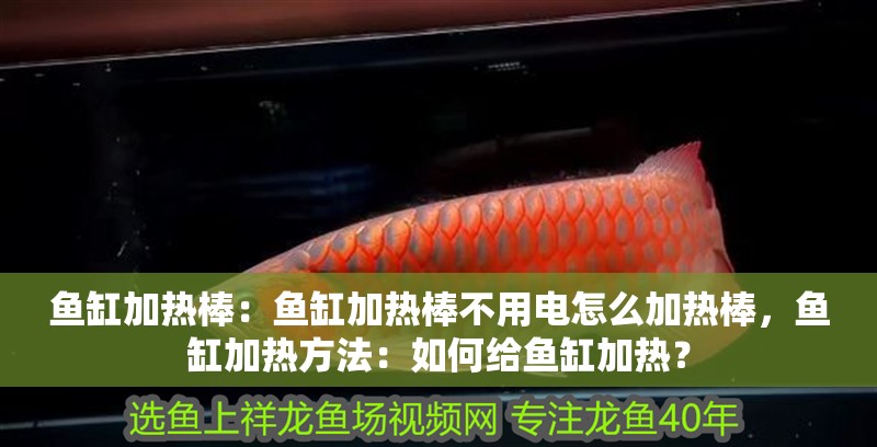 魚缸加熱棒：魚缸加熱棒不用電怎么加熱棒，魚缸加熱方法：如何給魚缸加熱？