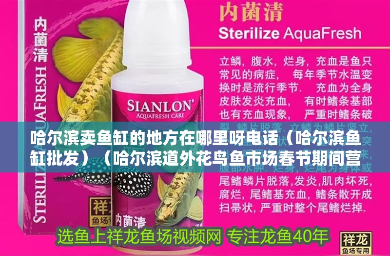 哈爾濱賣魚缸的地方在哪里呀電話（哈爾濱魚缸批發(fā)）（哈爾濱道外花鳥魚市場春節(jié)期間營業(yè)時間為早上八點下班）