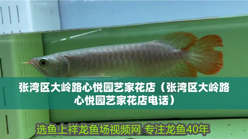 張灣區(qū)大嶺路心悅園藝家花店（張灣區(qū)大嶺路心悅園藝家花店電話）