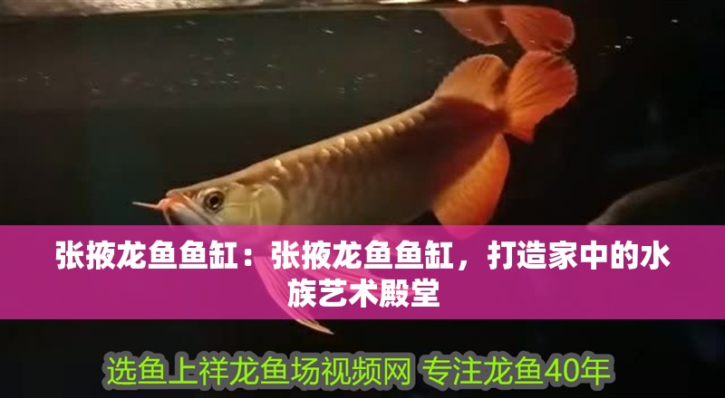 張掖龍魚魚缸：張掖龍魚魚缸，打造家中的水族藝術殿堂