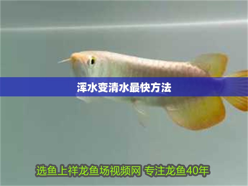 渾水變清水最快方法