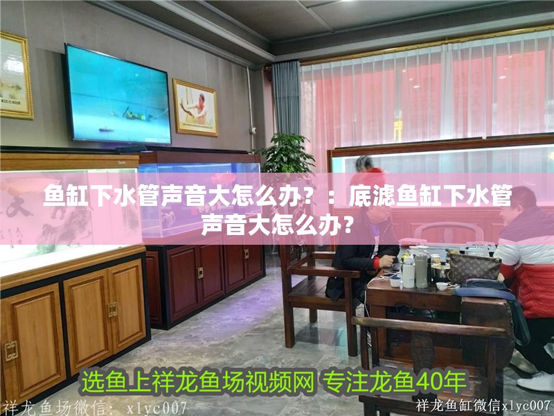 魚缸下水管聲音大怎么辦？：底濾魚缸下水管聲音大怎么辦？