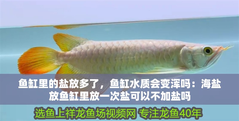 魚缸里的鹽放多了，魚缸水質會變渾嗎：海鹽放魚缸里放一次鹽可以不加鹽嗎
