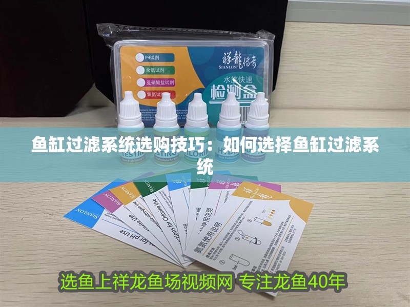 魚缸過濾系統選購技巧：如何選擇魚缸過濾系統