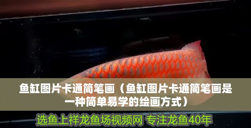 魚缸圖片卡通簡筆畫（魚缸圖片卡通簡筆畫是一種簡單易學的繪畫方式）