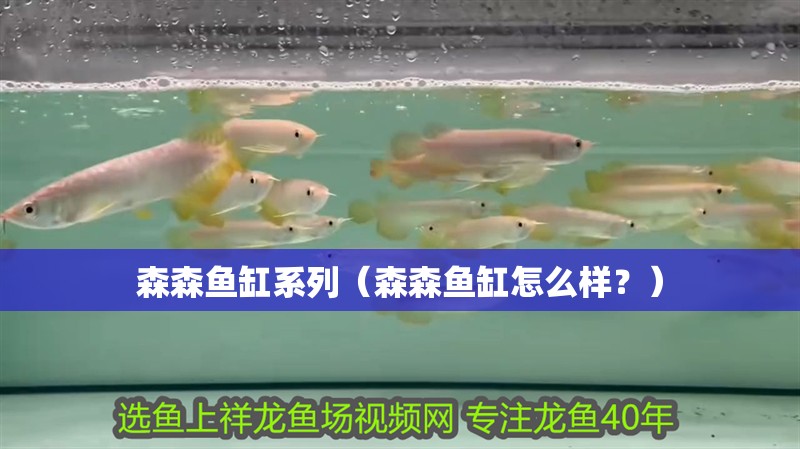森森魚缸系列（森森魚缸怎么樣？）