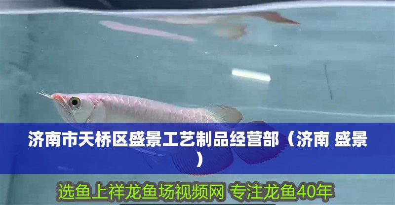 濟南市天橋區盛景工藝制品經營部（濟南 盛景）