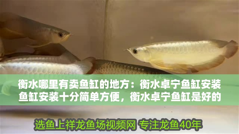 衡水哪里有賣魚缸的地方：衡水卓寧魚缸安裝魚缸安裝十分簡單方便，衡水卓寧魚缸是好的