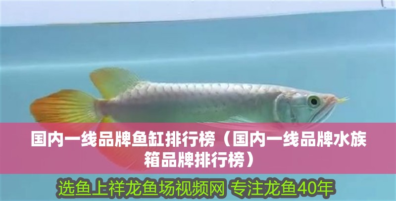 國(guó)內(nèi)一線品牌魚缸排行榜（國(guó)內(nèi)一線品牌水族箱品牌排行榜）