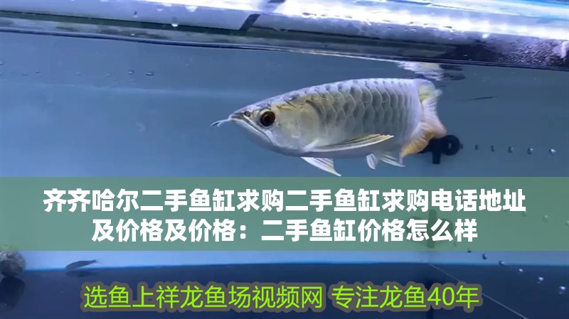 齊齊哈爾二手魚缸求購二手魚缸求購電話地址及價格及價格：二手魚缸價格怎么樣 齊齊哈爾二手魚缸求購二手魚缸求購電話地址及價格及價格：二手魚缸價格怎么樣 魚缸百科