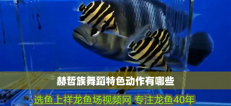 赫哲族舞蹈特色動作有哪些