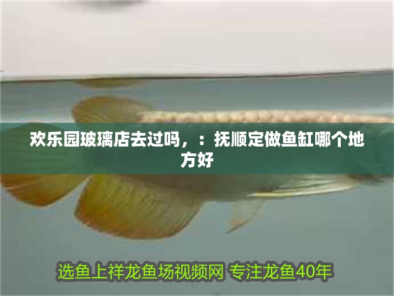 歡樂園玻璃店去過嗎，：撫順定做魚缸哪個(gè)地方好