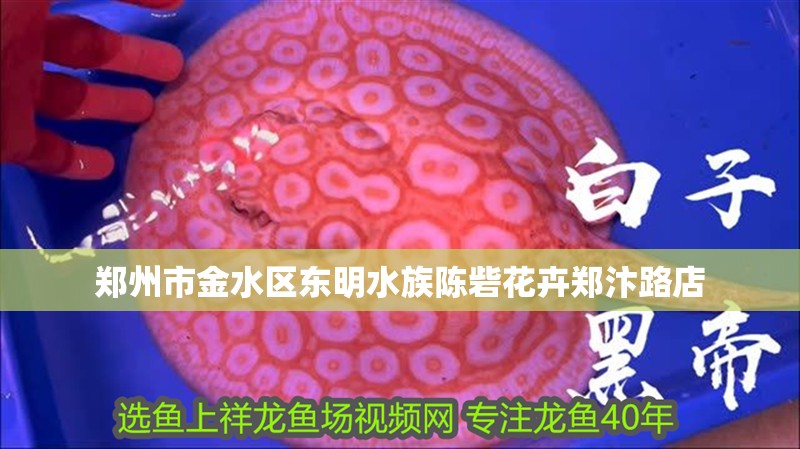 鄭州市金水區(qū)東明水族陳砦花卉鄭汴路店