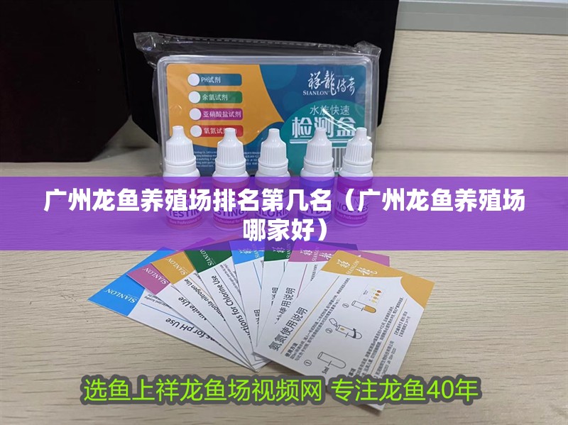 廣州龍魚養殖場排名第幾名（廣州龍魚養殖場哪家好）