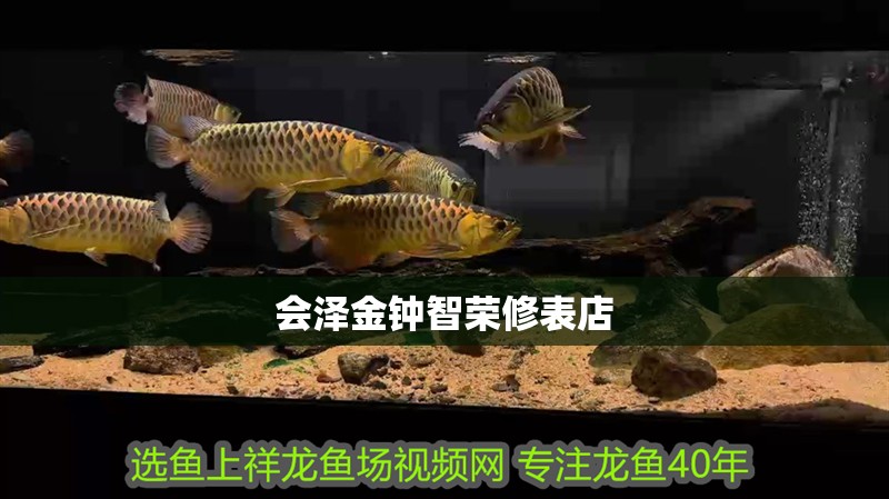 會澤金鐘智榮修表店