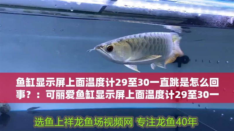 魚缸顯示屏上面溫度計29至30一直跳是怎么回事？：可麗愛魚缸顯示屏上面溫度計29至30一直跳是怎么回事？