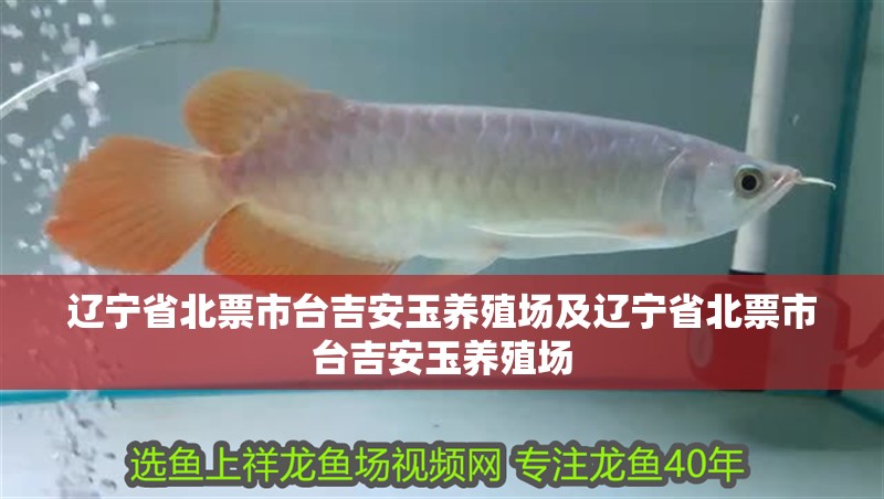 遼寧省北票市臺吉安玉養殖場及遼寧省北票市臺吉安玉養殖場