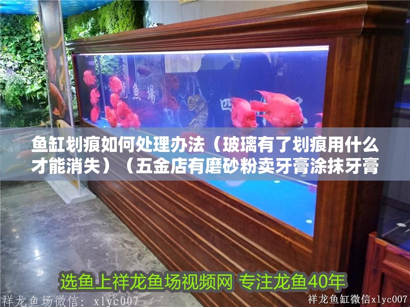 魚缸劃痕如何處理辦法（玻璃有了劃痕用什么才能消失）（五金店有磨砂粉賣牙膏涂抹牙膏劃痕處理辦法，五金店有磨砂粉賣）