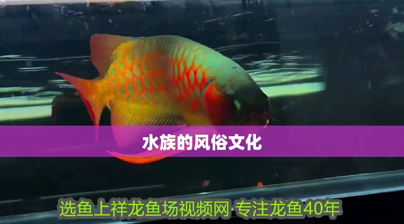 水族的風(fēng)俗文化