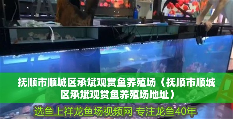 撫順市順城區承斌觀賞魚養殖場（撫順市順城區承斌觀賞魚養殖場地址）