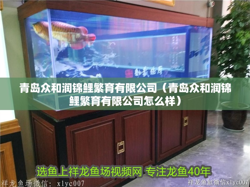青島眾和潤(rùn)錦鯉繁育有限公司（青島眾和潤(rùn)錦鯉繁育有限公司怎么樣）