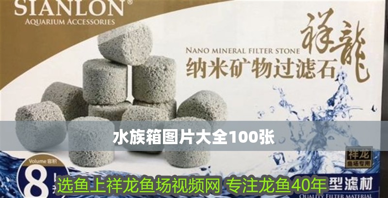 水族箱圖片大全100張